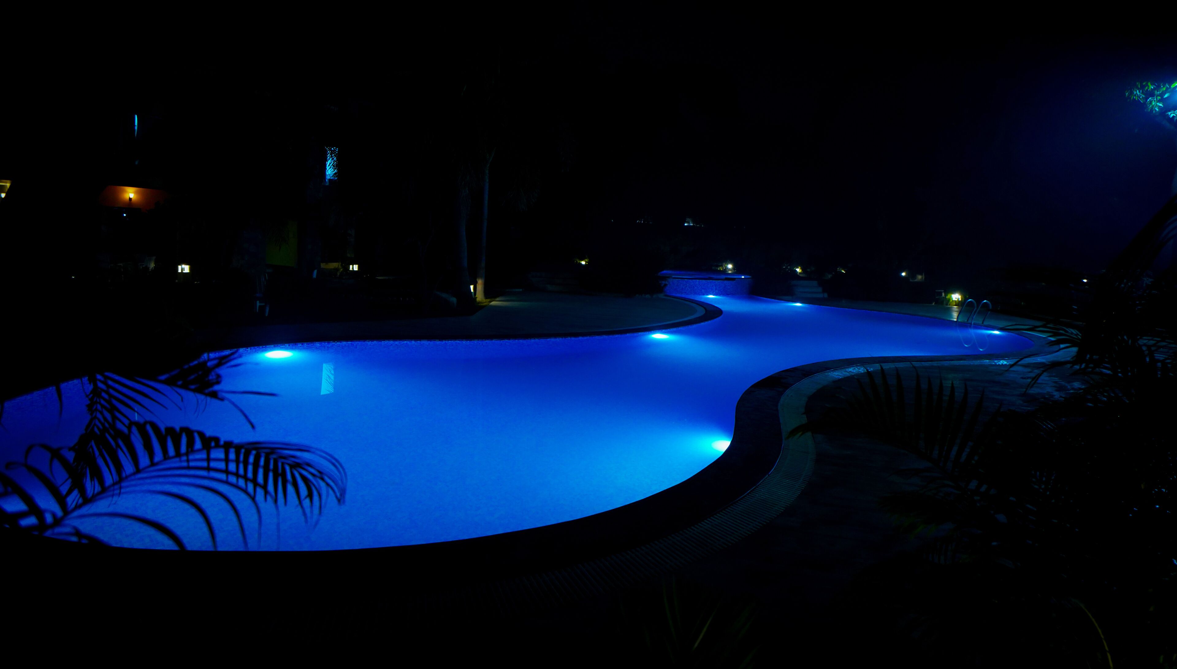Una piscina de diseño curvo, rodeada de palmeras y un cielo nocturno oscuro.