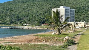 A coastal hotel with a modern building, a palm tree, and a view of the sea and a green hill in the background. - Sea Front Villa  (Pool AC Gated 24hrs Security) (St. Catherine Parish Bridgeport P.O)
