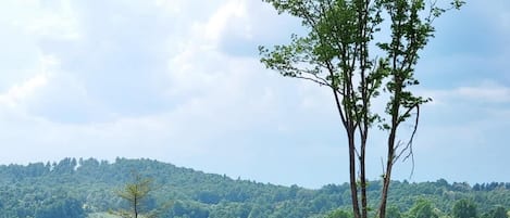 Two people seated on chairs with a view of a forested hillside.