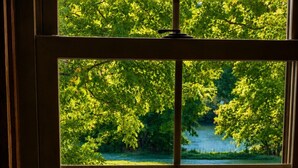 A view through a window with a wooden chair in the foreground, a grassy lawn, and trees in the background. - Riverfront Cabin! Farm, Fireplace & Kayaks (DB) (Luray)