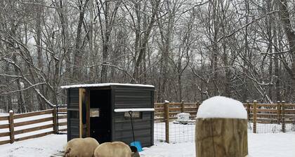 Riverfront Cabin! Farm, Kayaks, Trail & Campfires