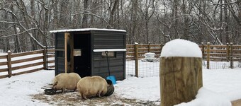 Daniel Boone Cabin RPC
