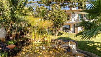 Áreas de la propiedad