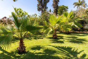 Property grounds - Apartment "Villa Echium T1" with one bedroom and shared garden (Caniço)