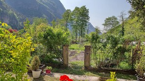A garden with potted plants, a pathway, and a mountain backdrop. - Apartment 'Villa Stanga' with Mountain View, Private Garden and Wi-Fi (Sedico)