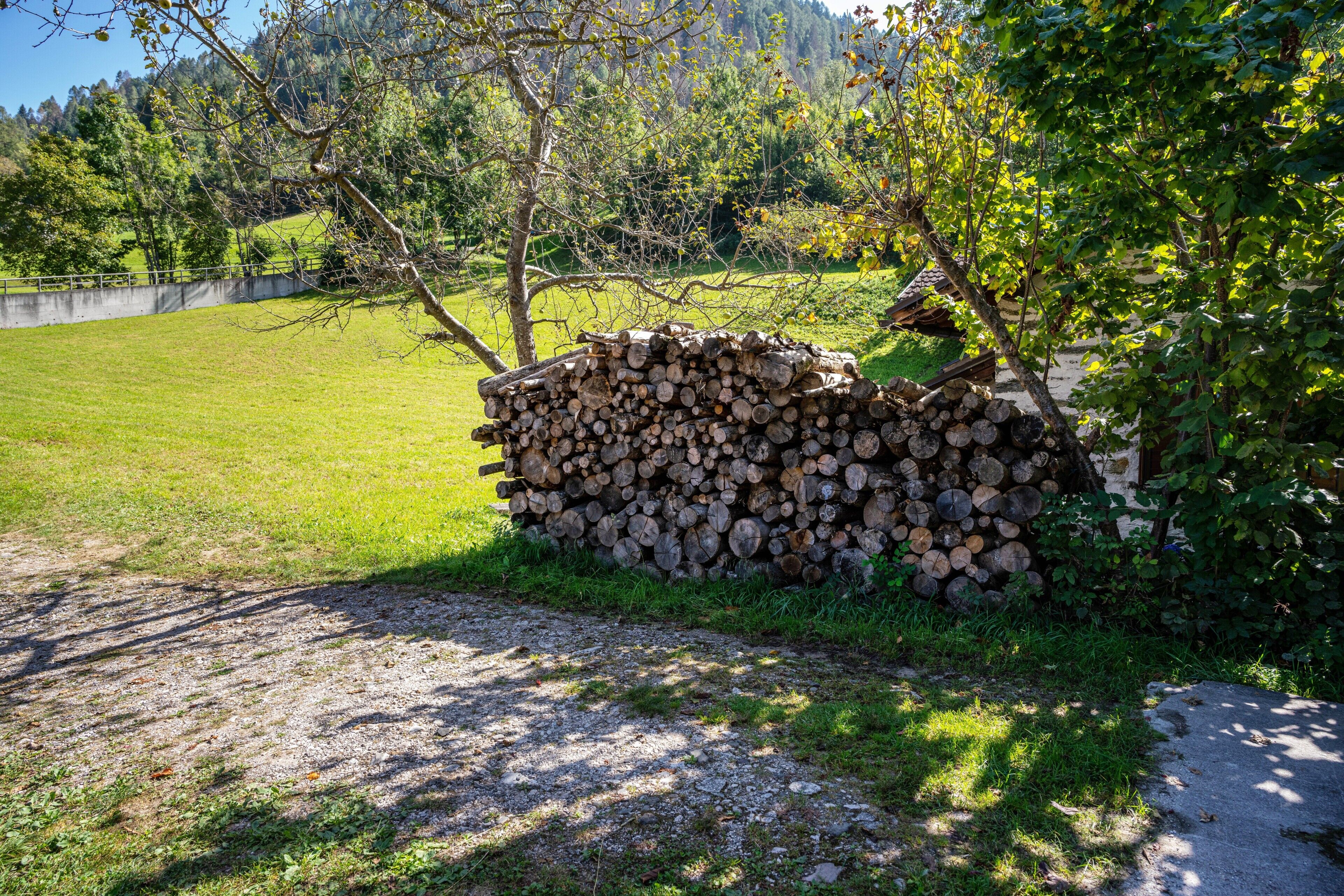 Parco della struttura