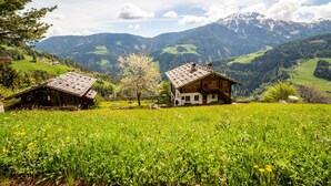 Un paysage montagneux avec deux cabanes en bois, l’une dotée d’un toit en pente et l’autre d’un toit à pignon, le tout entouré d’une végétation luxuriante et dominé par des sommets enneigés au loin.