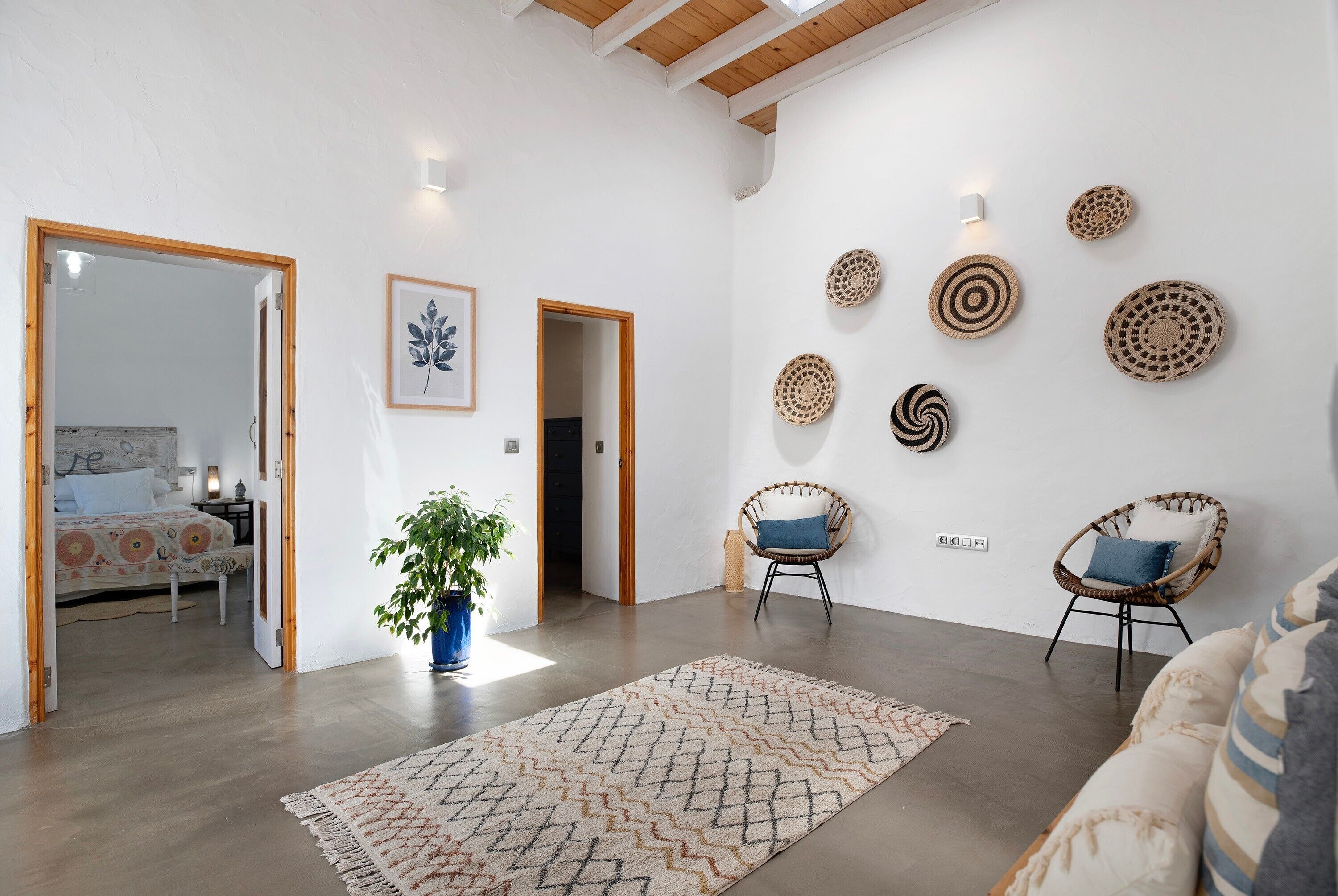 A modern living room with a large rug, wicker chairs, a potted plant, and wall decor.