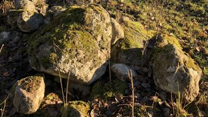 Ein rustikaler Hollbau mit Wellblechdach, umgeben von einer natürlichen Landschaft mit Felsen, Gras und kahl stehenden Bäumen.