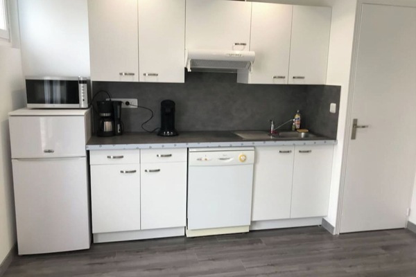 Réfrigérateur, micro-ondes, plaque de cuisson, lave-vaisselle