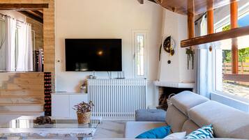 Een smart-tv, een open haard, boeken en een muziekbibliotheek