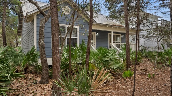 A small, single-story building with a porch, surrounded by various types of trees and plants.