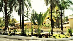 A courtyard with palm trees, a bicycle, and a car parked in the background.