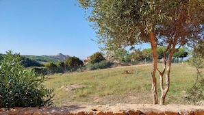 A view of a rural landscape with a stone wall, a tree, and distant hills. - apartment with little garden five minutes walk from the beach (Trinità DAgultu e Vignola)