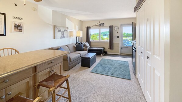 Smart TV, DVD player, books, video library