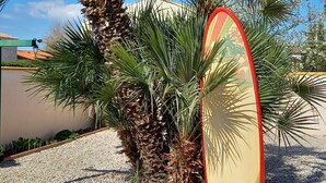 Una palmera con una tabla de surf apoyada.