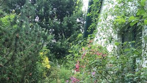A stone pathway leading through a lush garden with various plants and flowers. - Seagull house, beach, bathing jetty, boat mooring on Lake Plau (Alt Schwerin)