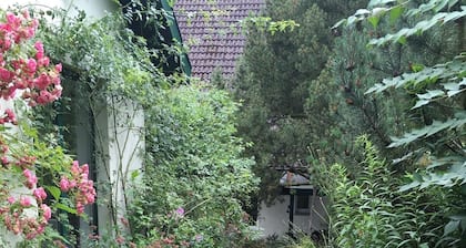 Möwenhaus,  Strand, Badesteg, Bootsliegeplatz am Plauer See