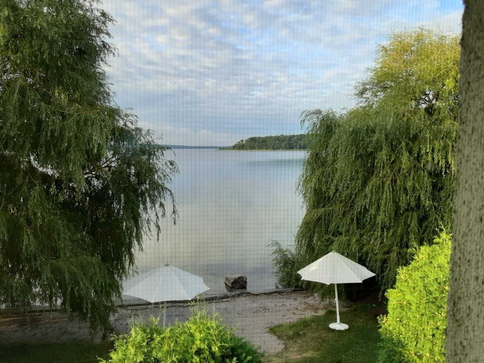 A lakeside view with a grassy area, a white umbrella, and dense greenery.
