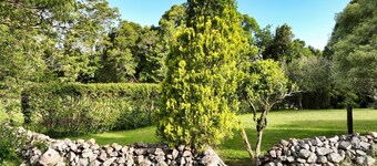 Dunrose Cottage - Mountain top cottage with amazing views!