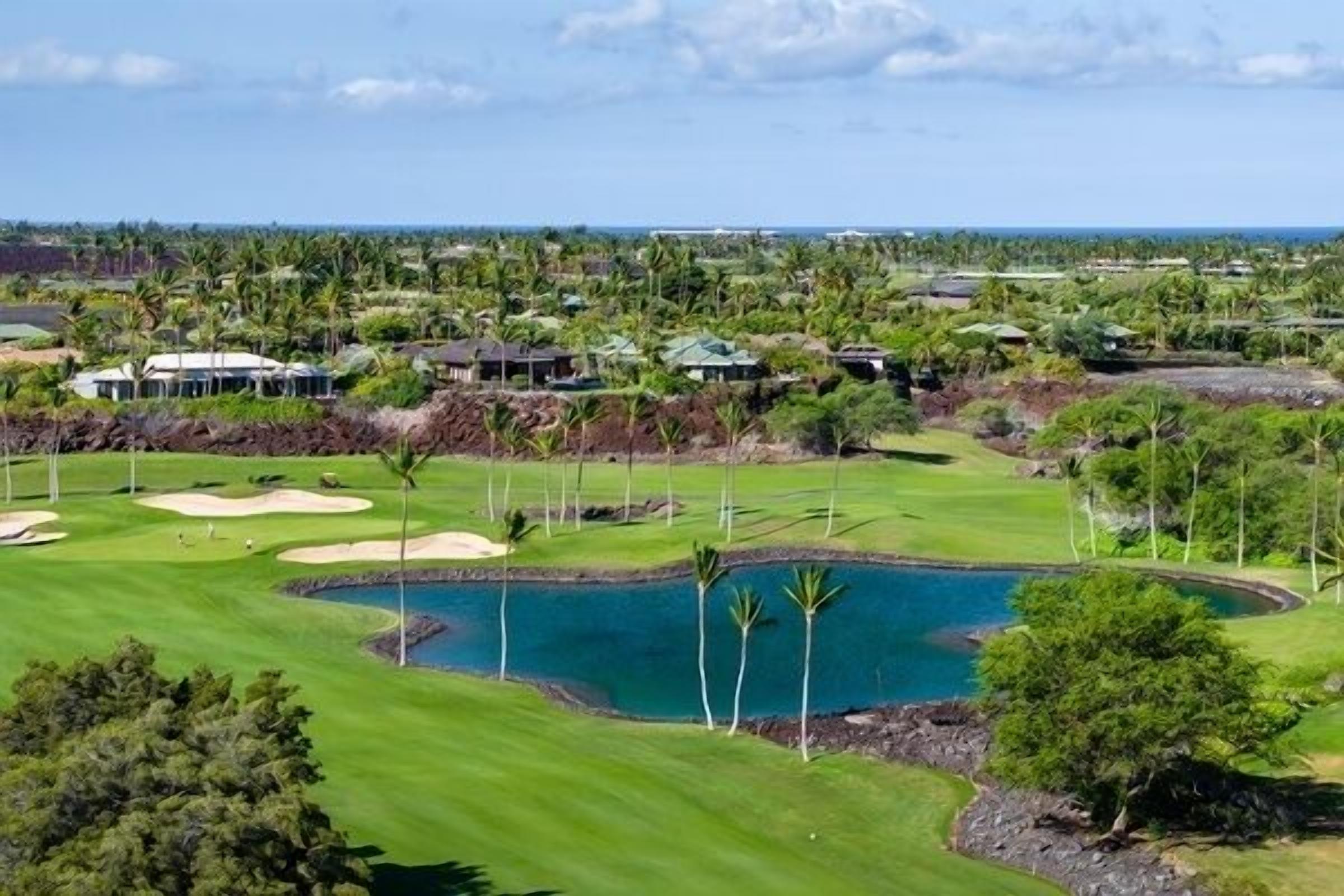 A golf course with a pond, palm trees, and houses in the background.