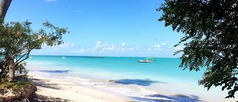 On the beach, 2 beach bars