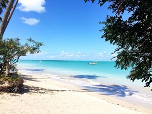 On the beach, 2 beach bars - LiaMara accommodations, Maragogi - AL (Maragogi)