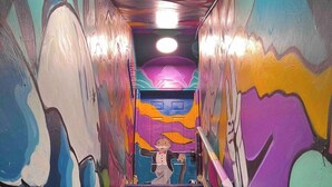 A brightly colored stairway with a mural on the walls leading to a door. - The Most Colorful Home in Atlantic City (Atlantic City)