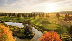 Nicht klassifiziertes Bild, 3 von 36, Schaltfläche