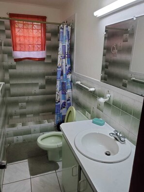 Bathroom features a sink, toilet, shower, and mirror with a towel rack.