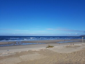 A beach with a clear sky, calm sea, and a flag marking the shoreline.
