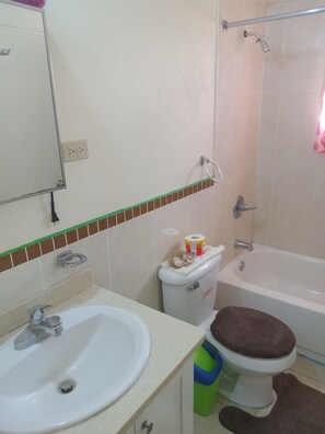 Hair dryer, towels, soap, toilet paper