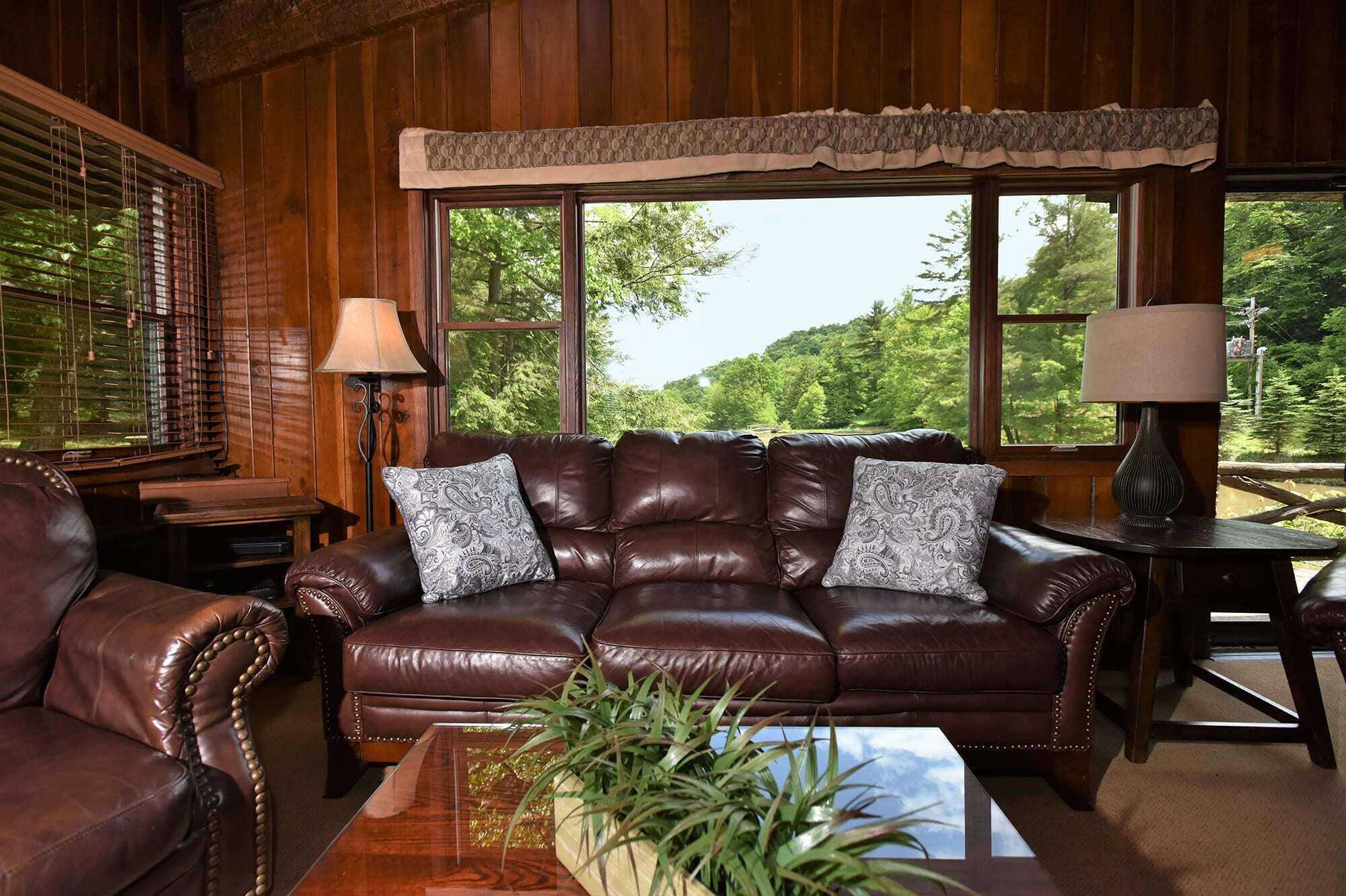 TV, fireplace, DVD player, offices