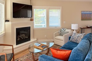 TV, fireplace, computer monitors, printers