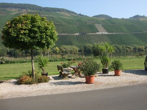 Moselstrand 2 uniquely beautiful location directly on the Moselle, on the Moselle cycle path g