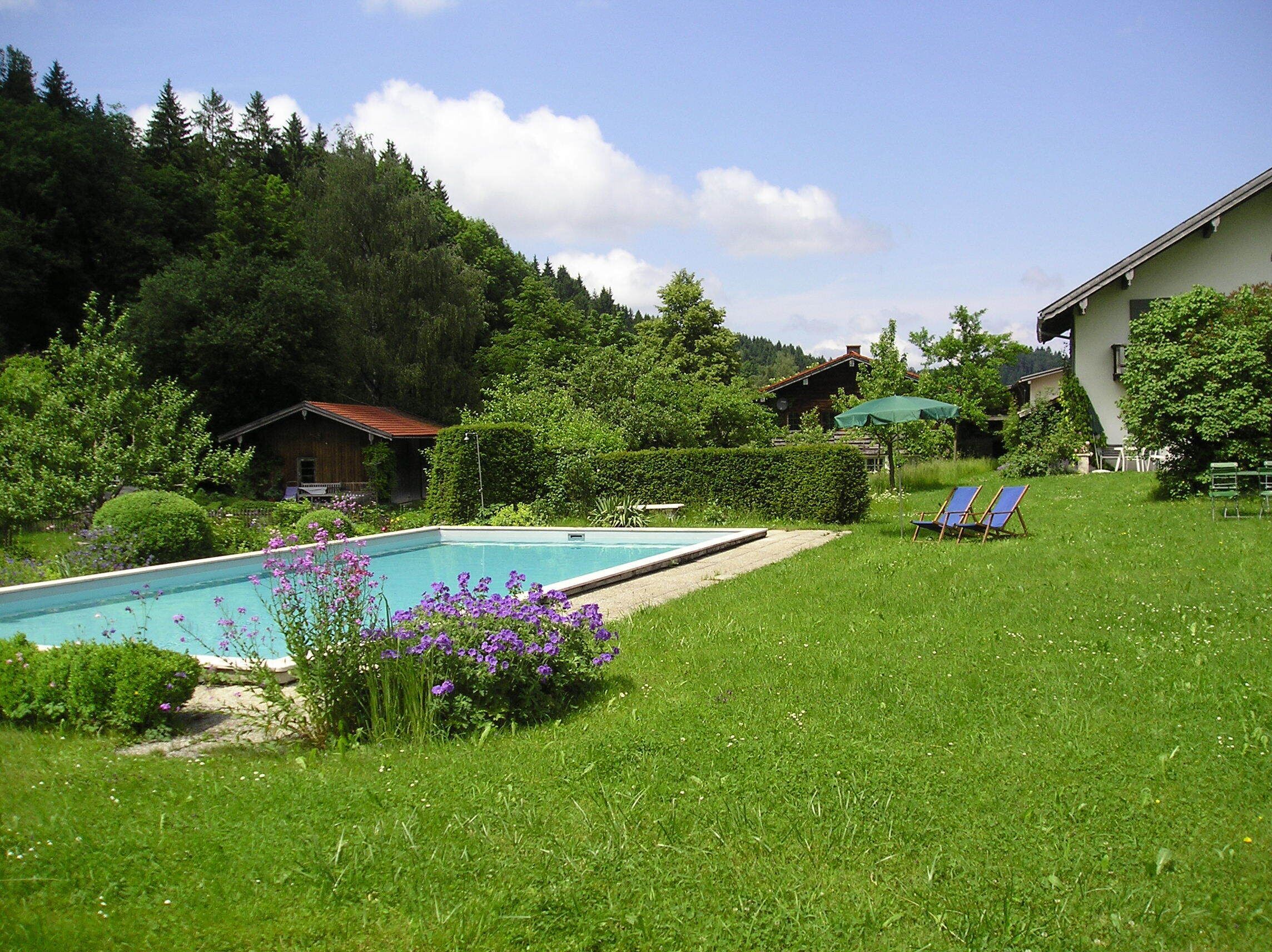 Una piscina rodeada de abundante vegetación, con césped y algunas sillas de descanso.