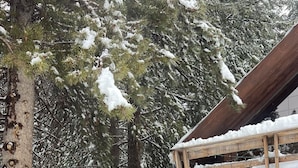A wooden staircase leading to a cabin with a metal railing, surrounded by snow-covered trees. - Little Bear Lodge Ponderosa Ca (Springville)
