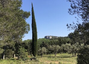 منوع