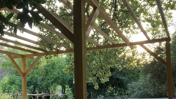 A wooden deck with two wicker chairs, a small pool, and a pergola structure. - A comfortable cabin in a quiet, natural setting, with air conditioning and a fan; swimming pool (Fontvieille)