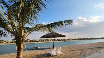 Ein Strand mit einer Palme, einem Pool und Liegestühlen.