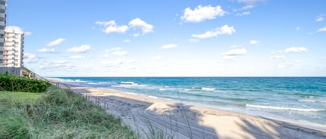 On the beach