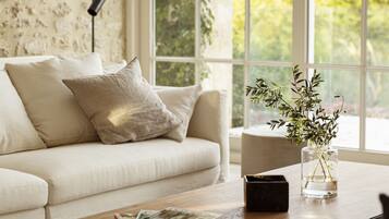 TV connectée, cheminée, lecteur de DVD, table de tennis de table