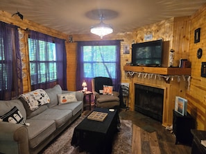 Smart TV, fireplace, DVD player, books
