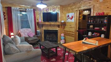 TV connectée, cheminée, lecteur de DVD, livres