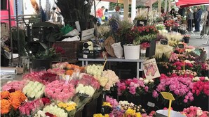 A flower market with various flowers and plants displayed in baskets and pots. - Charming 2-room apartment in town center, 5 minutes from the sea (Nice)