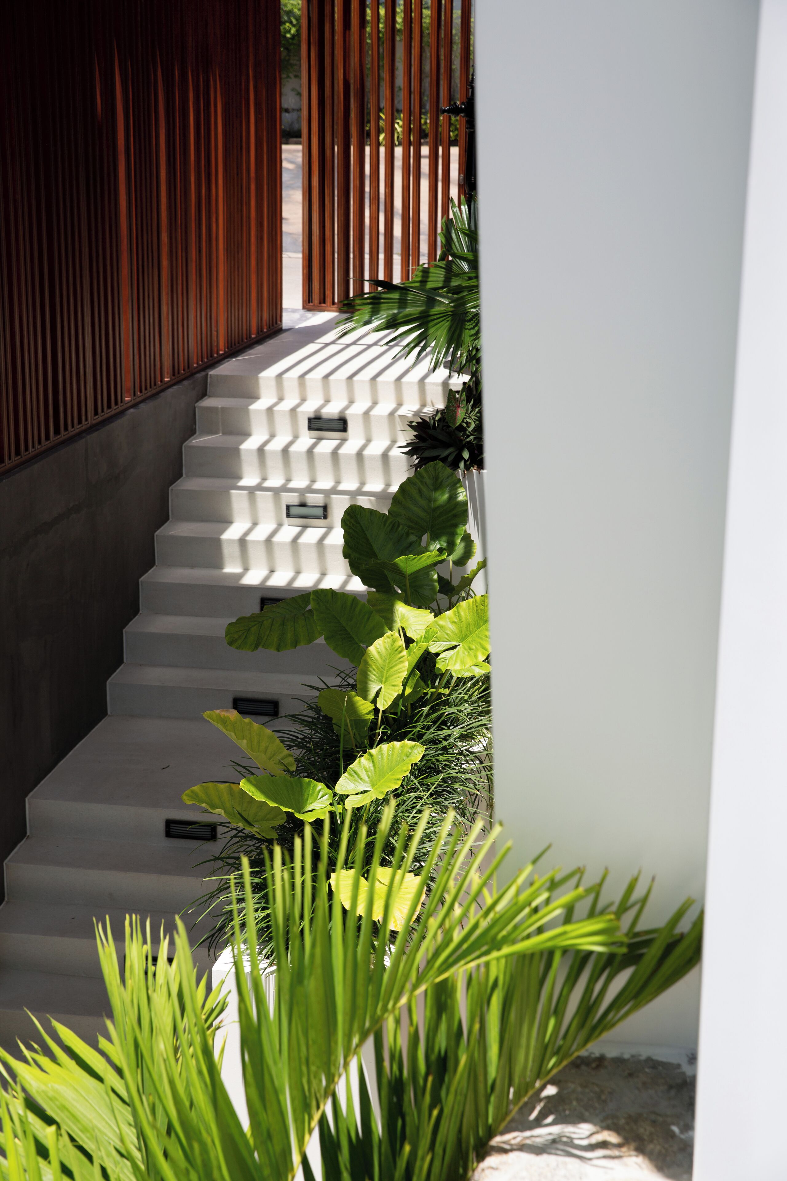 A staircase with white steps and a wooden railing, surrounded by green plants.