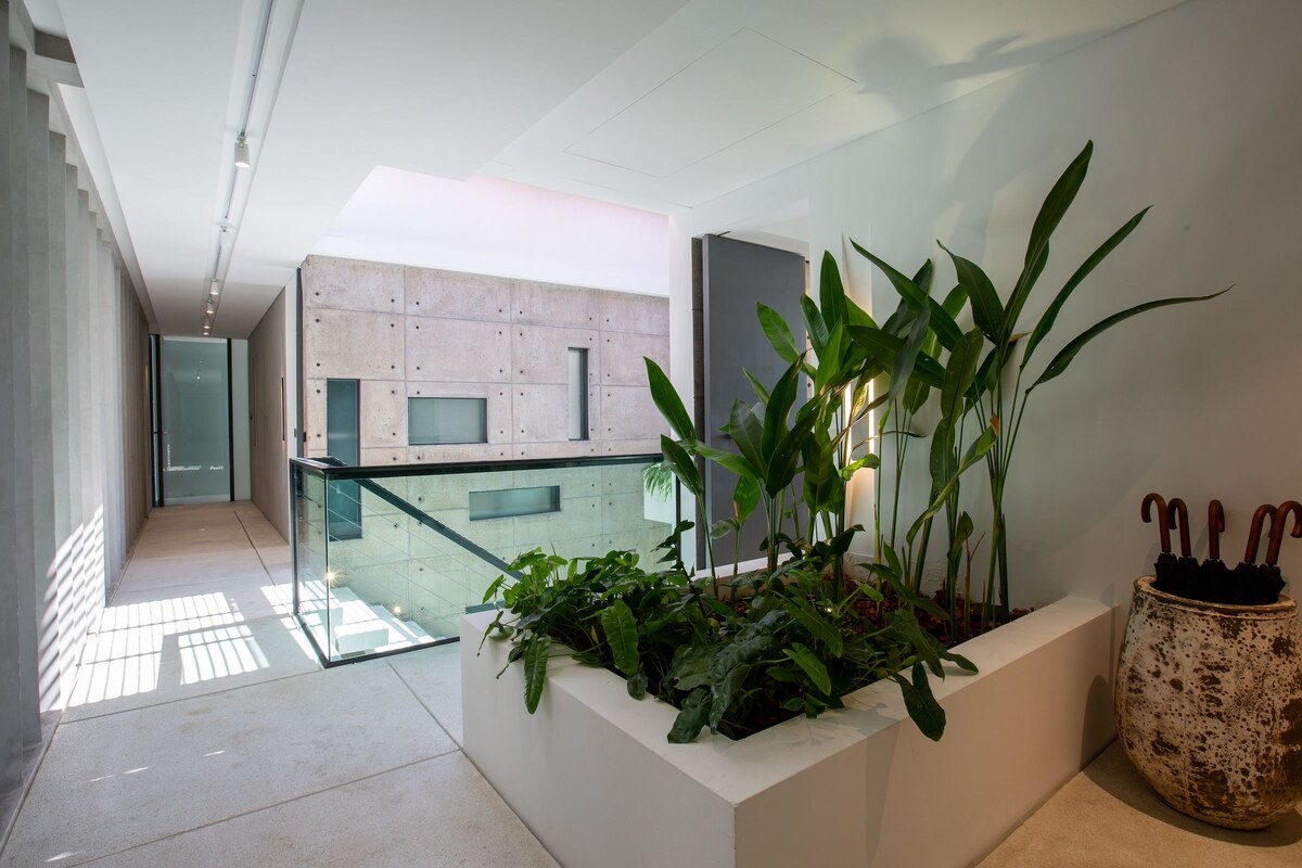 Un intérieur moderne avec une balustrade en verre, un mur en béton et un bac à plantes agrémenté de verdure.