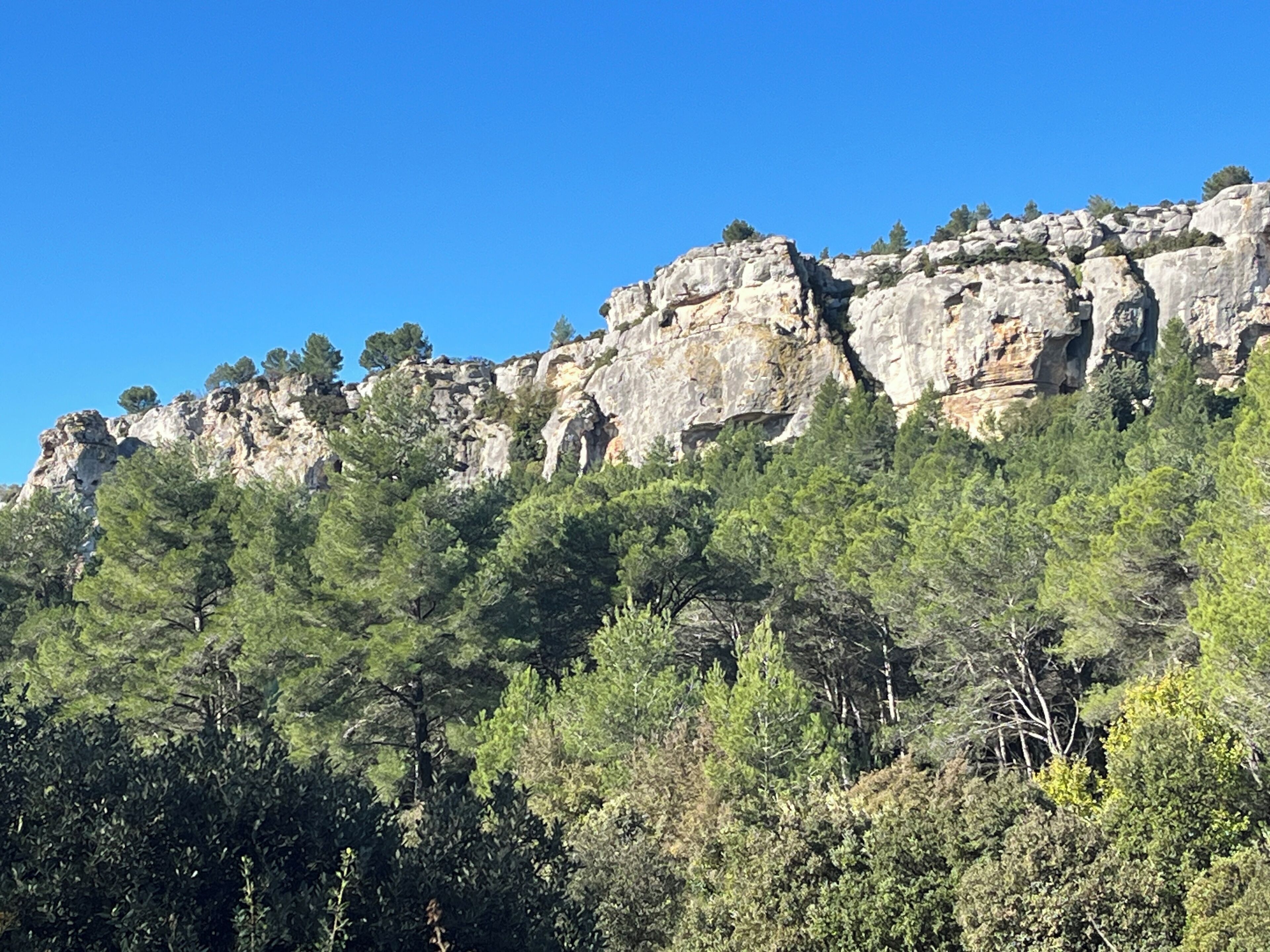 Un acantilado rocoso con árboles verdes y frondosos.