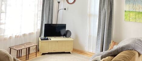 TV connectée, lecteur de DVD, livres, vidéothèque