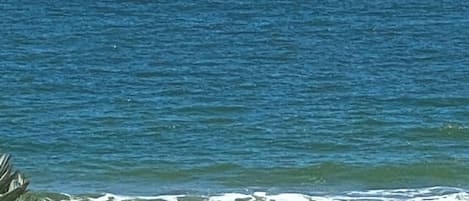 Sur la plage, serviettes de plage